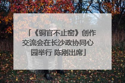 《铜官不止窑》创作交流会在长沙政协同心园举行 陈刚出席