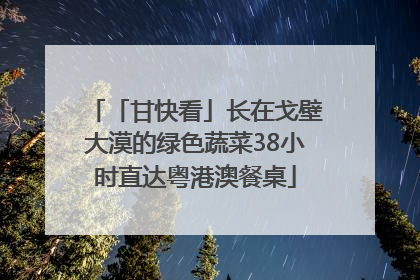 「甘快看」长在戈壁大漠的绿色蔬菜38小时直达粤港澳餐桌