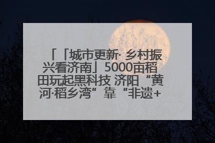 「城市更新· 乡村振兴看济南」5000亩稻田玩起黑科技 济阳“黄河·稻乡湾”靠“非遗+露营”火出圈