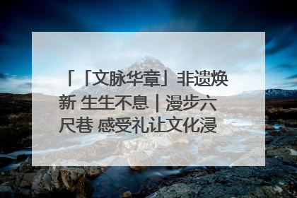 「文脉华章」非遗焕新 生生不息｜漫步六尺巷 感受礼让文化浸润的“巷”往生活