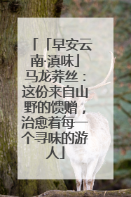 「早安云南·滇味」马龙荞丝：这份来自山野的馈赠，治愈着每一个寻味的游人
