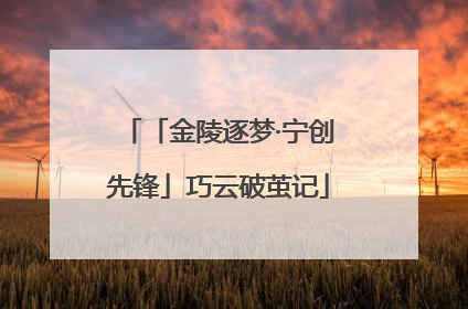 「金陵逐梦·宁创先锋」巧云破茧记