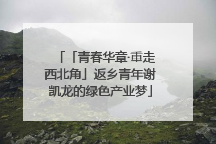 「青春华章·重走西北角」返乡青年谢凯龙的绿色产业梦