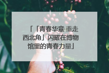 「青春华章·重走西北角」闪耀在博物馆里的青春力量