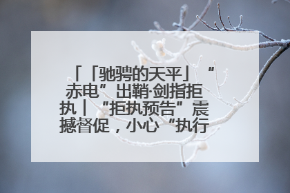 「驰骋的天平」“赤电”出鞘·剑指拒执︱“拒执预告”震撼督促，小心“执行”变“执刑”