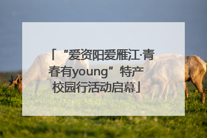 “爱资阳爱雁江·青春有young”特产校园行活动启幕