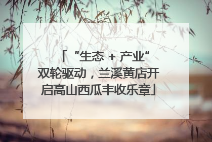 “生态 + 产业”双轮驱动，兰溪黄店开启高山西瓜丰收乐章