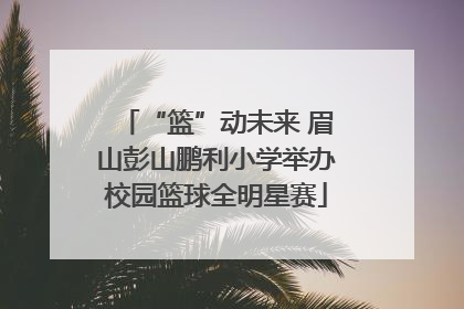 “篮”动未来 眉山彭山鹏利小学举办校园篮球全明星赛