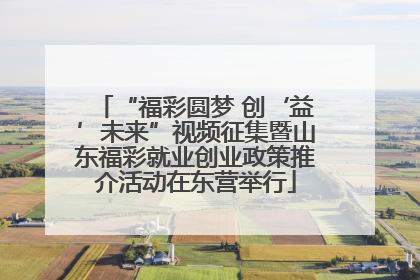 “福彩圆梦 创‘益’未来”视频征集暨山东福彩就业创业政策推介活动在东营举行