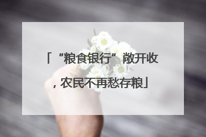 “粮食银行”敞开收，农民不再愁存粮