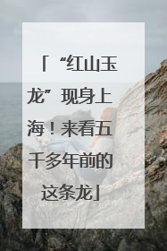 “红山玉龙”现身上海！来看五千多年前的这条龙
