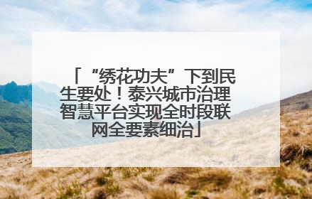 “绣花功夫”下到民生要处！泰兴城市治理智慧平台实现全时段联网全要素细治