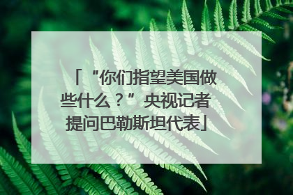 “你们指望美国做些什么？”央视记者提问巴勒斯坦代表