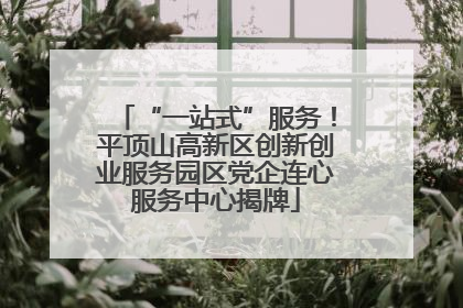 “一站式”服务！平顶山高新区创新创业服务园区党企连心服务中心揭牌