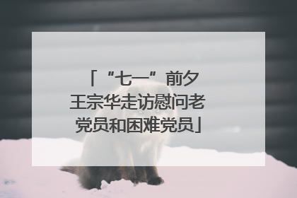 “七一”前夕 王宗华走访慰问老党员和困难党员