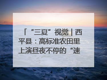 “三夏”视觉｜西平县：高标准农田里上演昼夜不停的“速度与激情”