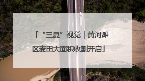“三夏”视觉｜黄河滩区麦田大面积收割开启