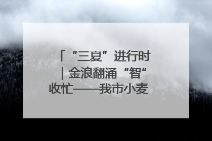 “三夏”进行时｜金浪翻涌“智”收忙——我市小麦开镰收割见闻