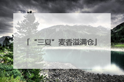 “三夏”麦香溢满仓