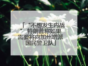 “不想发生内战” 特朗普称如果需要将向加州增派国民警卫队