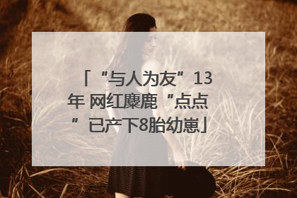“与人为友”13年 网红麋鹿“点点”已产下8胎幼崽