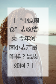 “中原粮仓”麦收结束 今年河南小麦产量咋样？品质如何？