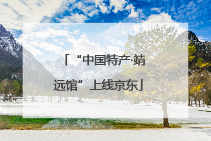 “中国特产·靖远馆”上线京东