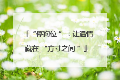 “停狗位 ”：让温情藏在 “方寸之间 ”