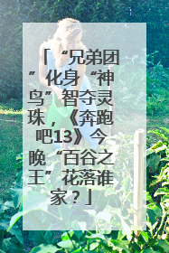 “兄弟团”化身“神鸟”智夺灵珠，《奔跑吧13》今晚“百谷之王”花落谁家？