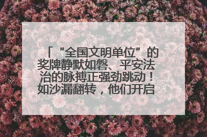 “全国文明单位”的奖牌静默如磐、平安法治的脉搏正强劲跳动！如沙漏翻转，他们开启了全新的计时