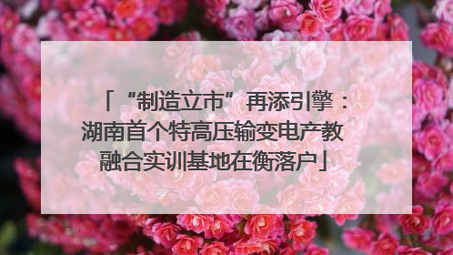 “制造立市”再添引擎：湖南首个特高压输变电产教融合实训基地在衡落户