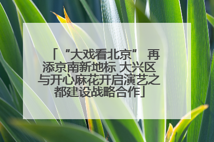 “大戏看北京” 再添京南新地标 大兴区与开心麻花开启演艺之都建设战略合作