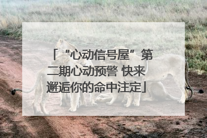 “心动信号屋”第二期心动预警 快来邂逅你的命中注定