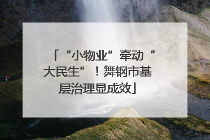 “小物业”牵动“大民生”！舞钢市基层治理显成效