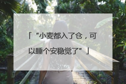 “小麦都入了仓，可以睡个安稳觉了”