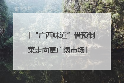 “广西味道”借预制菜走向更广阔市场