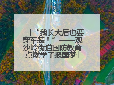 “我长大后也要穿军装！”——观沙岭街道国防教育点燃学子报国梦