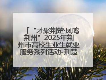 “才聚荆楚·凤鸣荆州”2025年荆州市高校生业生就业服务系列活动-荆楚就业大讲堂-就业嘉年华活动举行