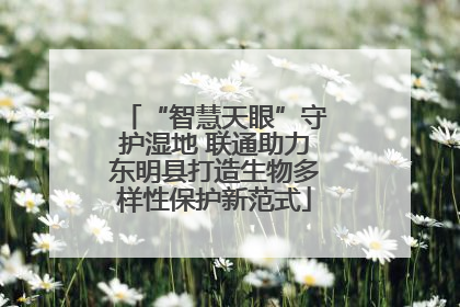 “智慧天眼”守护湿地 联通助力东明县打造生物多样性保护新范式