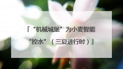 “机械城堡”为小麦智能“控水”（三夏进行时）