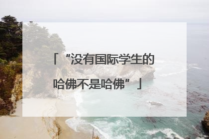 “没有国际学生的哈佛不是哈佛”