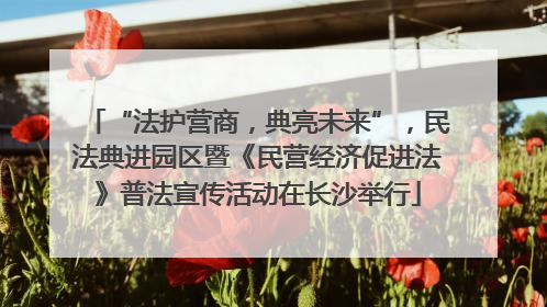 “法护营商，典亮未来”，民法典进园区暨《民营经济促进法》普法宣传活动在长沙举行
