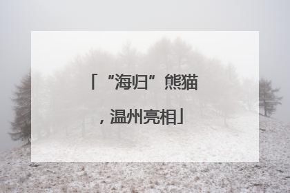 “海归”熊猫，温州亮相