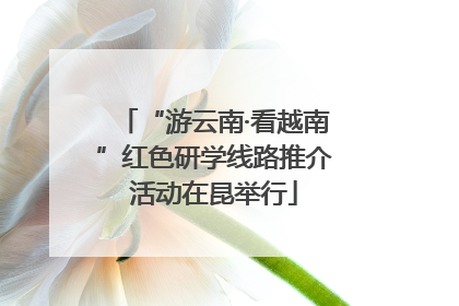 “游云南·看越南”红色研学线路推介活动在昆举行