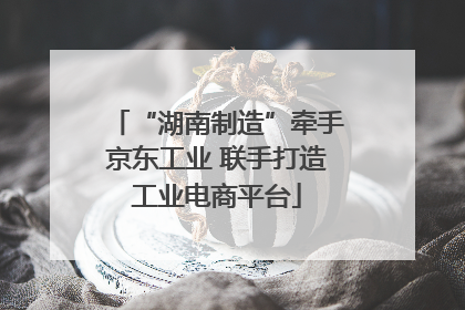 “湖南制造”牵手京东工业 联手打造工业电商平台