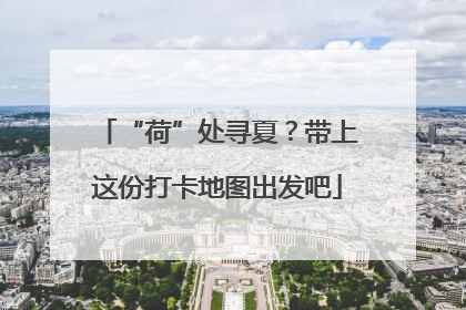 “荷”处寻夏？带上这份打卡地图出发吧