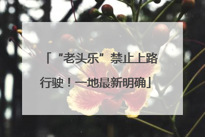 “老头乐”禁止上路行驶！一地最新明确