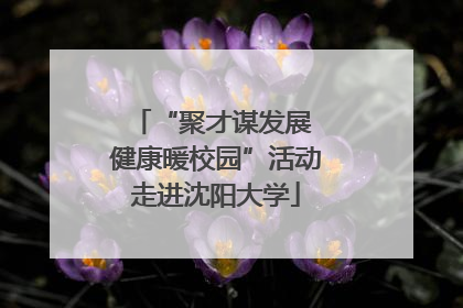 “聚才谋发展 健康暖校园”活动走进沈阳大学