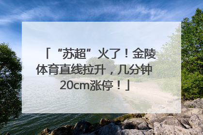 “苏超”火了！金陵体育直线拉升，几分钟20cm涨停！