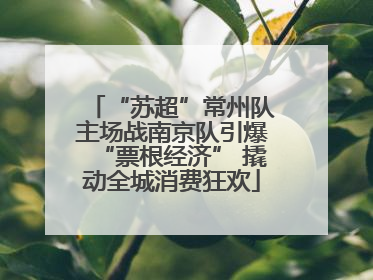 “苏超”常州队主场战南京队引爆“票根经济” 撬动全城消费狂欢